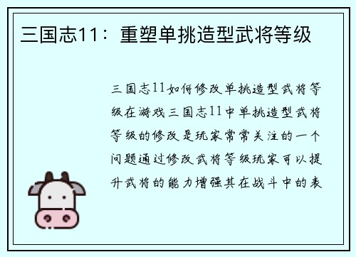 三国志11：重塑单挑造型武将等级